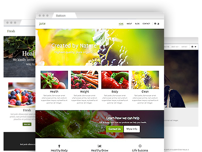 An array of easy–to–re–design website themes